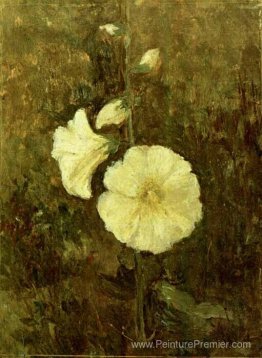 Mallore rose