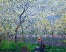 Un verger au printemps