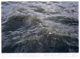 Sans titre (de la série Still Water (la Tamise de la rivière, pa