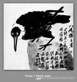 Un oiseau avec un cou blanc