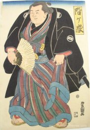 SUMO WRISTER EN BLUE-BROWN STROMINE SUPERKIMONO