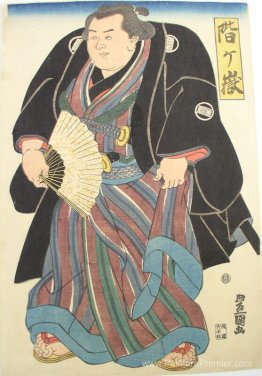 SUMO WRISTER EN BLUE-BROWN STROMINE SUPERKIMONO