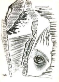 La nuit