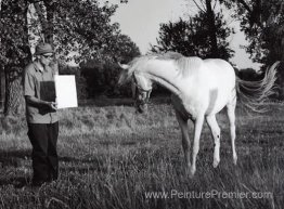 Sans titre (cheval), peinture / énergie invisible