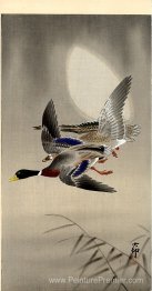 Canards colverts et lune