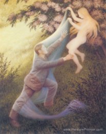 Rêve de fée