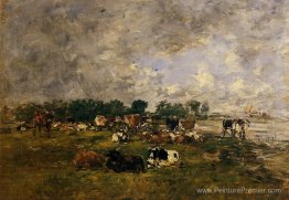 Vaches dans les champs