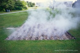 Travail à vapeur pour Bellingham-II