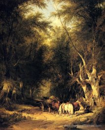 Dans la nouvelle forêt