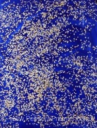 Confettis