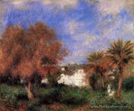 Le jardin d'essai à Alger