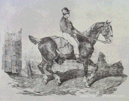 Calèche