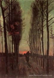 Avenue de peupliers au coucher du soleil