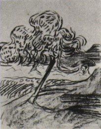Étude d'un arbre fruitier