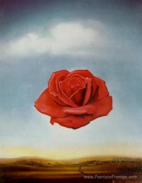 Rose méditative