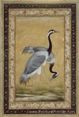 Deux grues