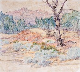 Paysage avec arbre