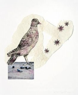 Oiseaux avec des étoiles