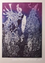 Jardin la nuit