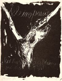 Petite passion du Christ