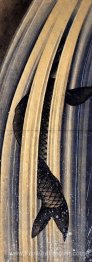 Carpe sautant une cascade