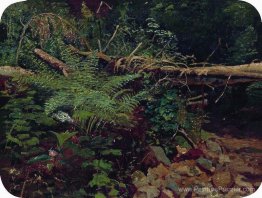 Paysage