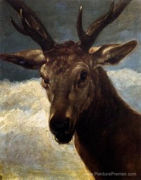 Tête d'un cerf