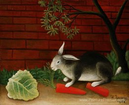 Lapin