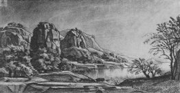 Roche