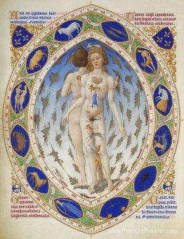 L'anatomie de l'homme