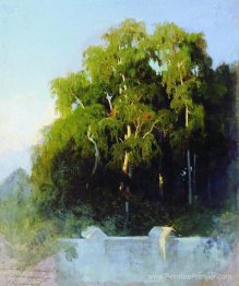 Birch Grove le soir
