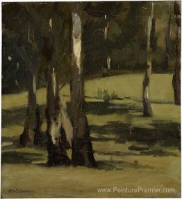 Ombres, paysage avec des arbres