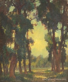 Vista de forêt