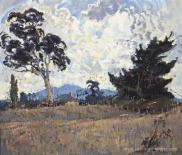 Pastoral Woodside