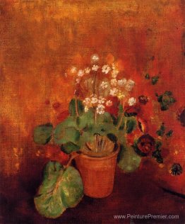 Fleurs dans un pot sur fond rouge