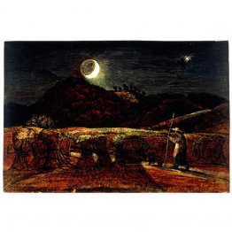 Un champ de maïs par clair de lune avec l'étoile du soir