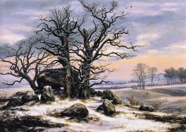 Megalith Grave en hiver