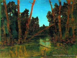 Marais de forêt