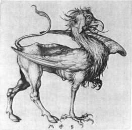 Griffon