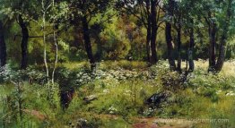 Glade forêt