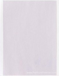 Échantillon de couleur pour la peinture (# 03'19)