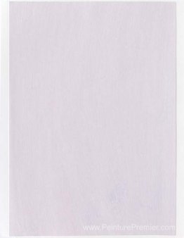 Échantillon de couleur pour la peinture (# 03'19)