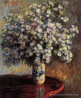 Aster