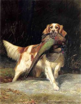 Springer Spaniel avec faisan