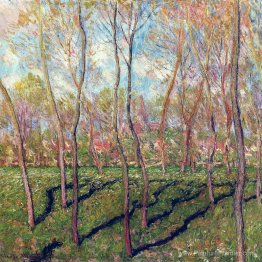 Arbres en hiver, vue de Bennecourt