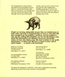 Porc 11