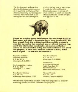 Porc 11