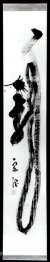 Calligraphie dragon