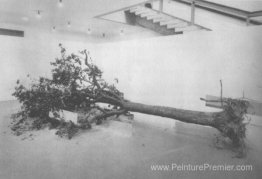 Arbre mort