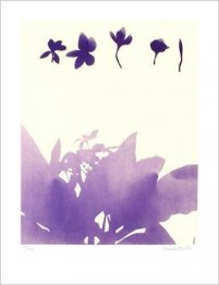 Sans titre (fleurs)